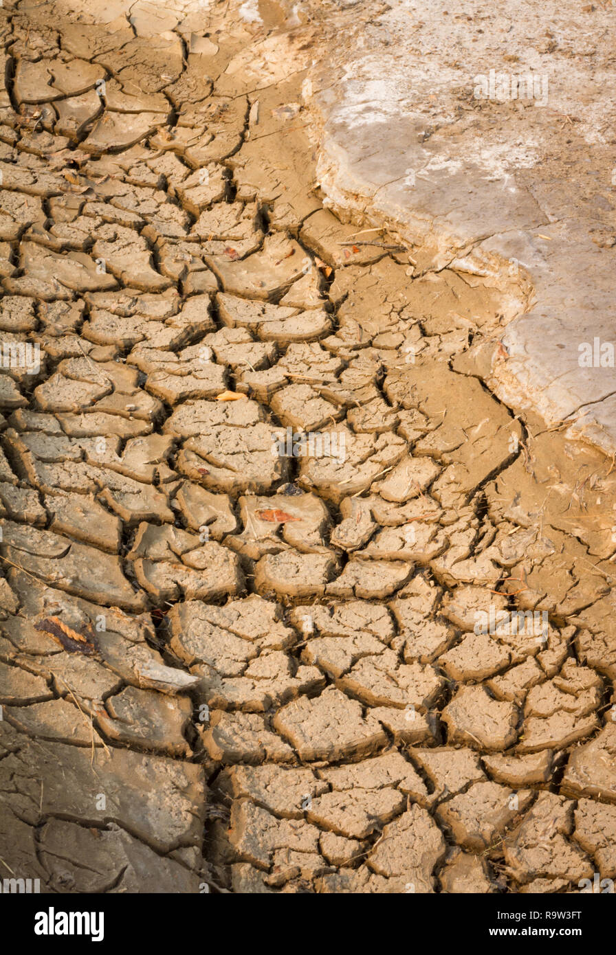 Sol desséché près de Drumheller, en Alberta, au Canada, au cours de l'été brûlant de 2017 de la sécheresse et de craintes stoked réchauffement global sur les Prairies. Banque D'Images