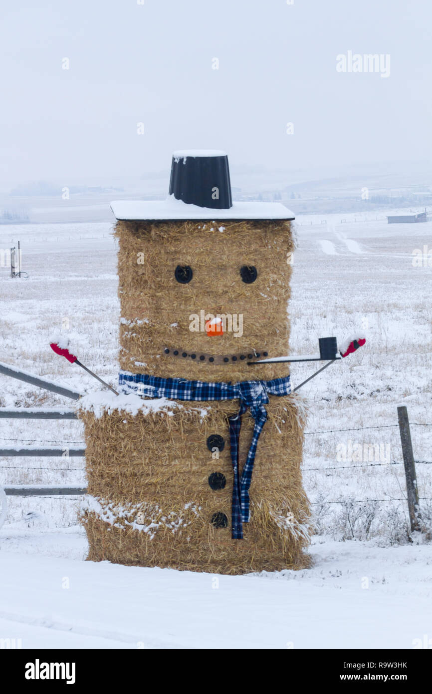 Un agriculteur's creative prendre sur un bonhomme d'hiver à l'aide de bottes de foin dans le sud de l'Alberta, Canada. Banque D'Images