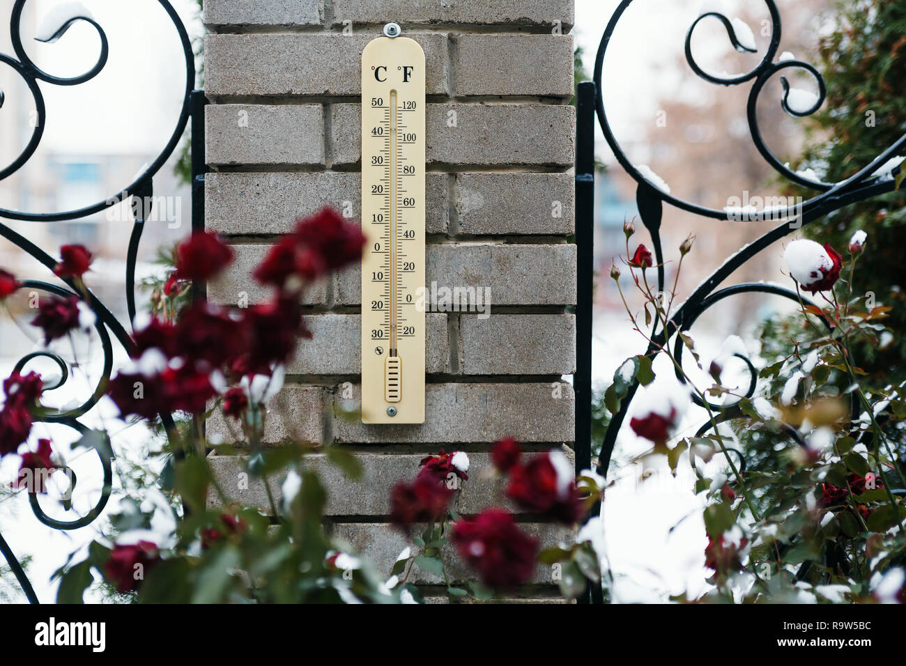 Zéro celsius thermomètre montrant le jardin Banque D'Images