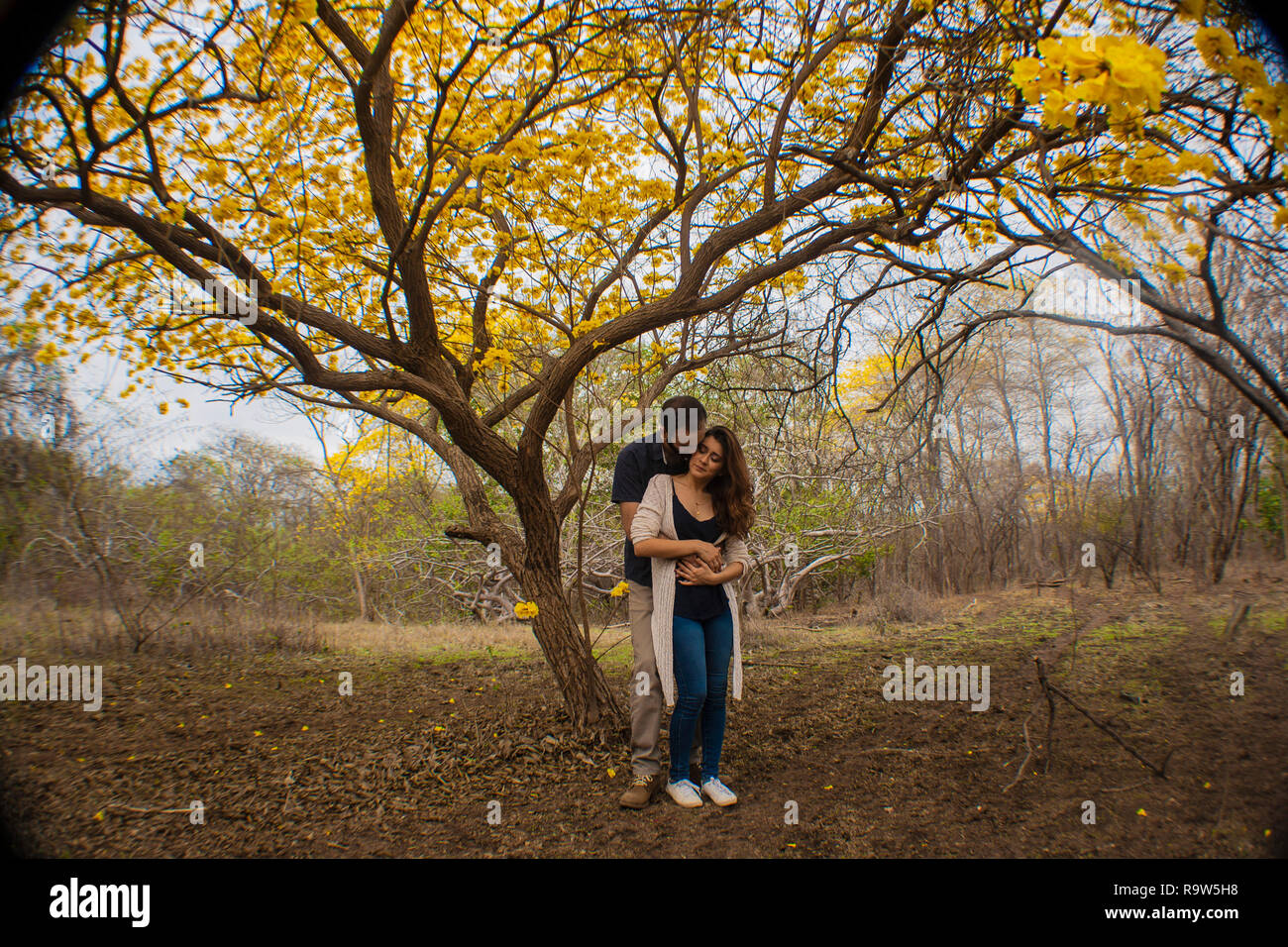 Lovers sur un arbre Banque D'Images