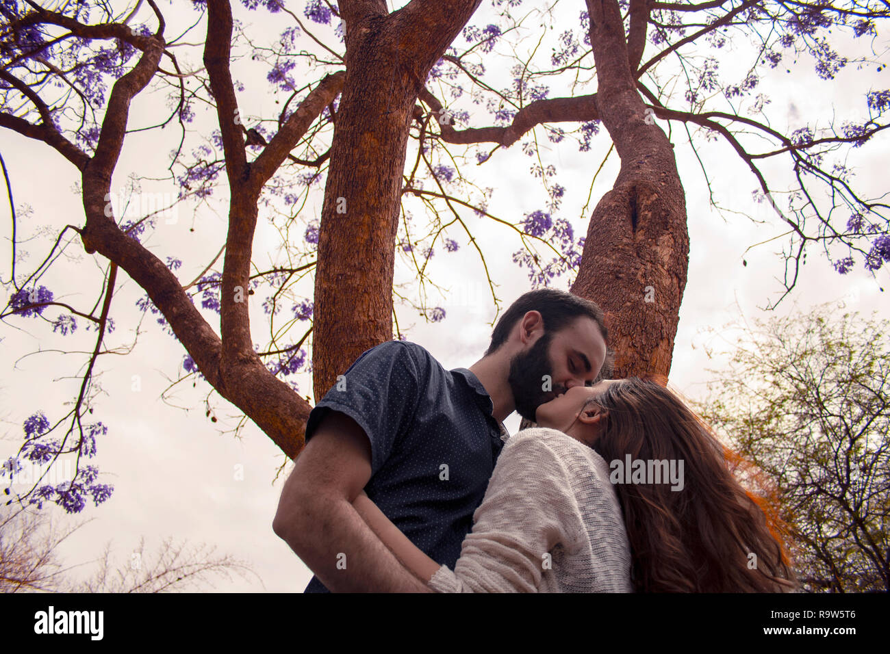 Lovers sur un arbre Banque D'Images