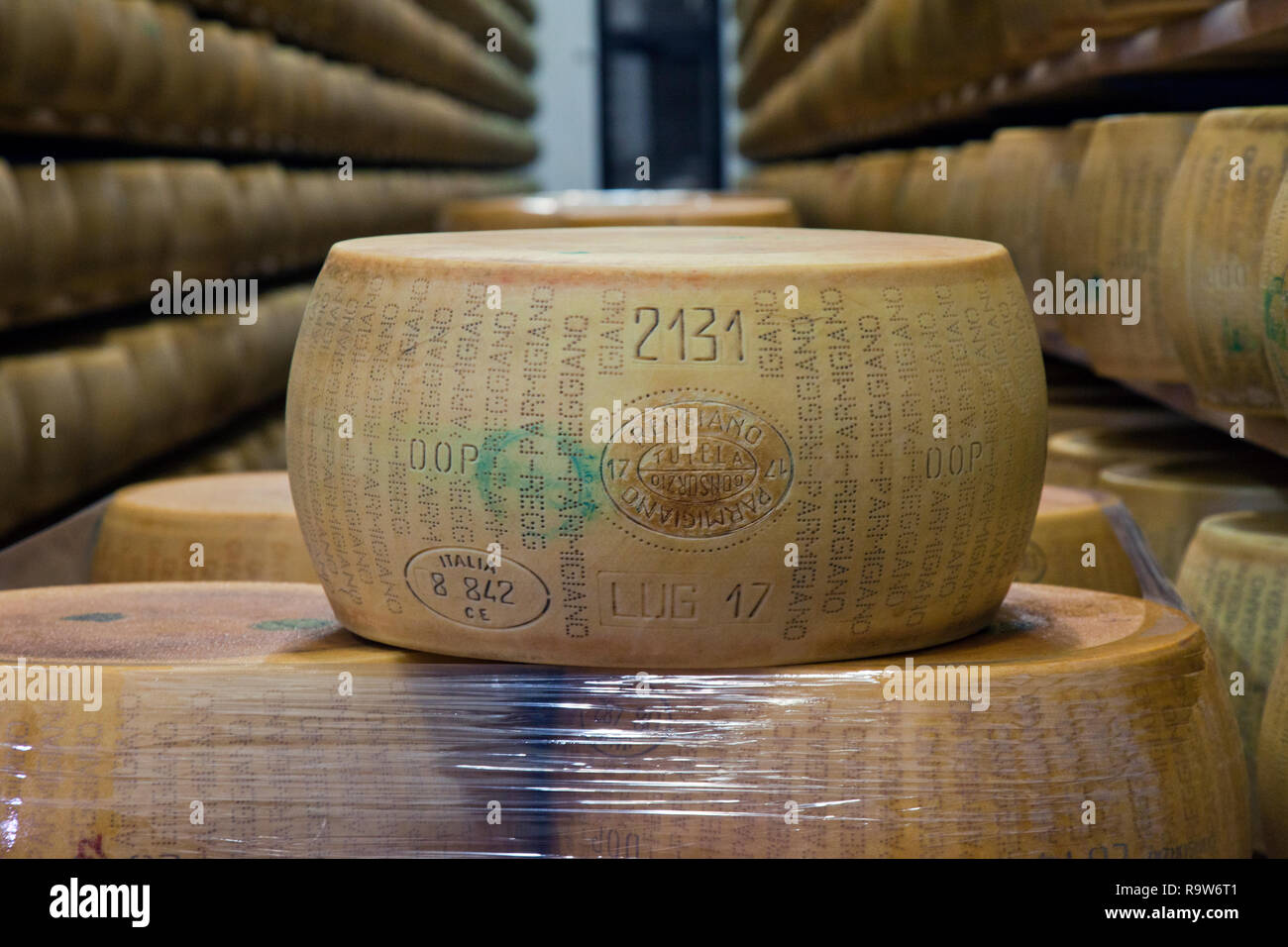 Cycles de vieillissement du fromage au Caseificio San Bernardino Parmigiano Reggiano Cheese Factory, Tortiano, Italie. Banque D'Images