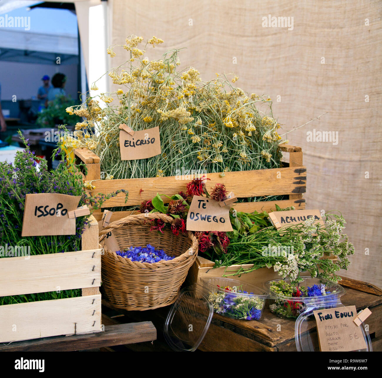 La Spinosa Herb stand au marché de trottoir, Parme, Italie. Banque D'Images