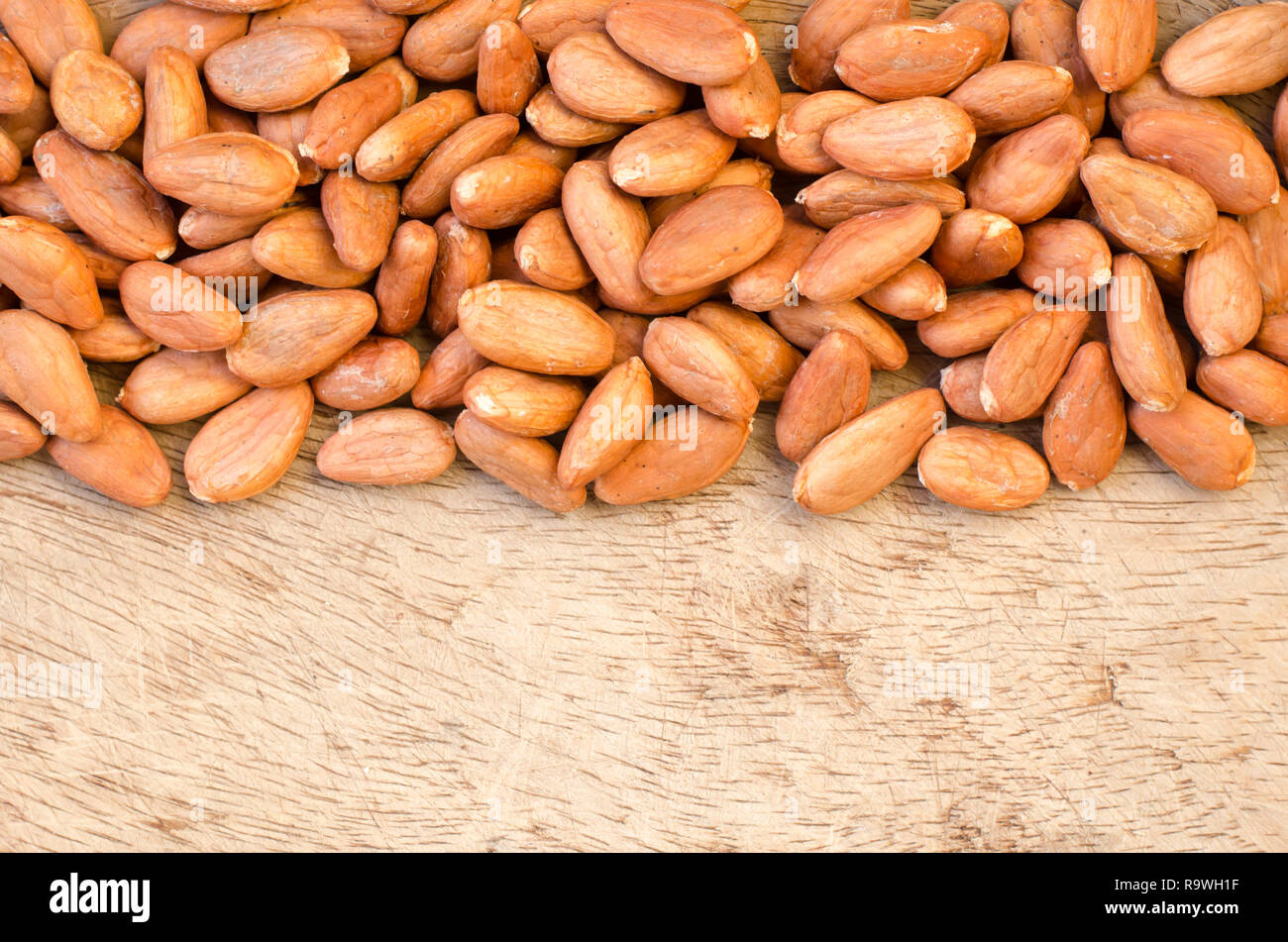 Les graines de cacao brut Banque D'Images