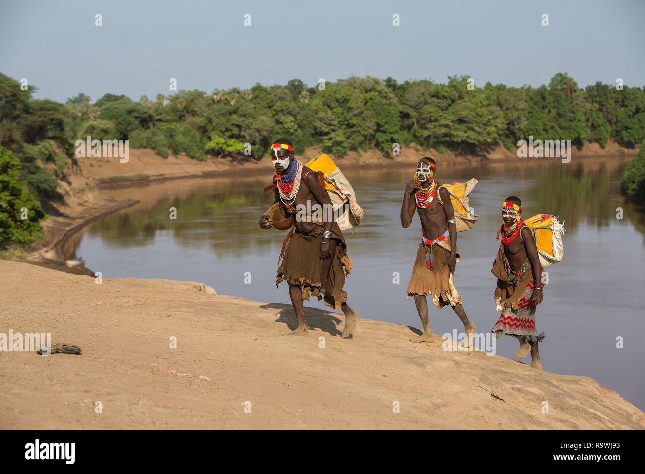 Transport de l'eau à partir de la tribu Kara Rivière Omo d'Ethiopie, Village Dhs Banque D'Images