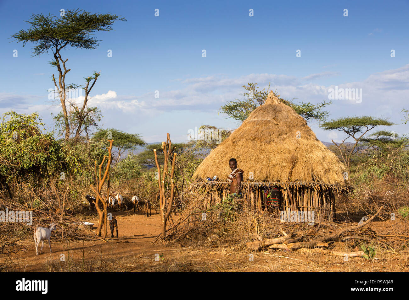 Tribu Hamar abris à Labela village de vallée de l'Omo, Ethiopie Banque D'Images