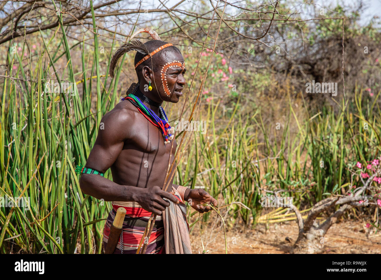 Cérémonie d'initiation de la tribu Hamar en vallée de l'Omo, Ethiopie Banque D'Images