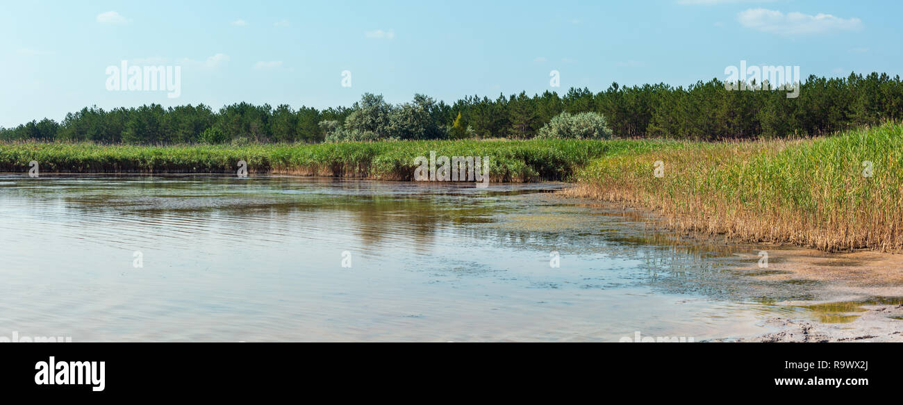 Pryschukove d'été rouge brun foncé avec le lac d'iode un effet thérapeutique grâce à la haute teneur en iode (région de Kherson, Ukraine). Banque D'Images