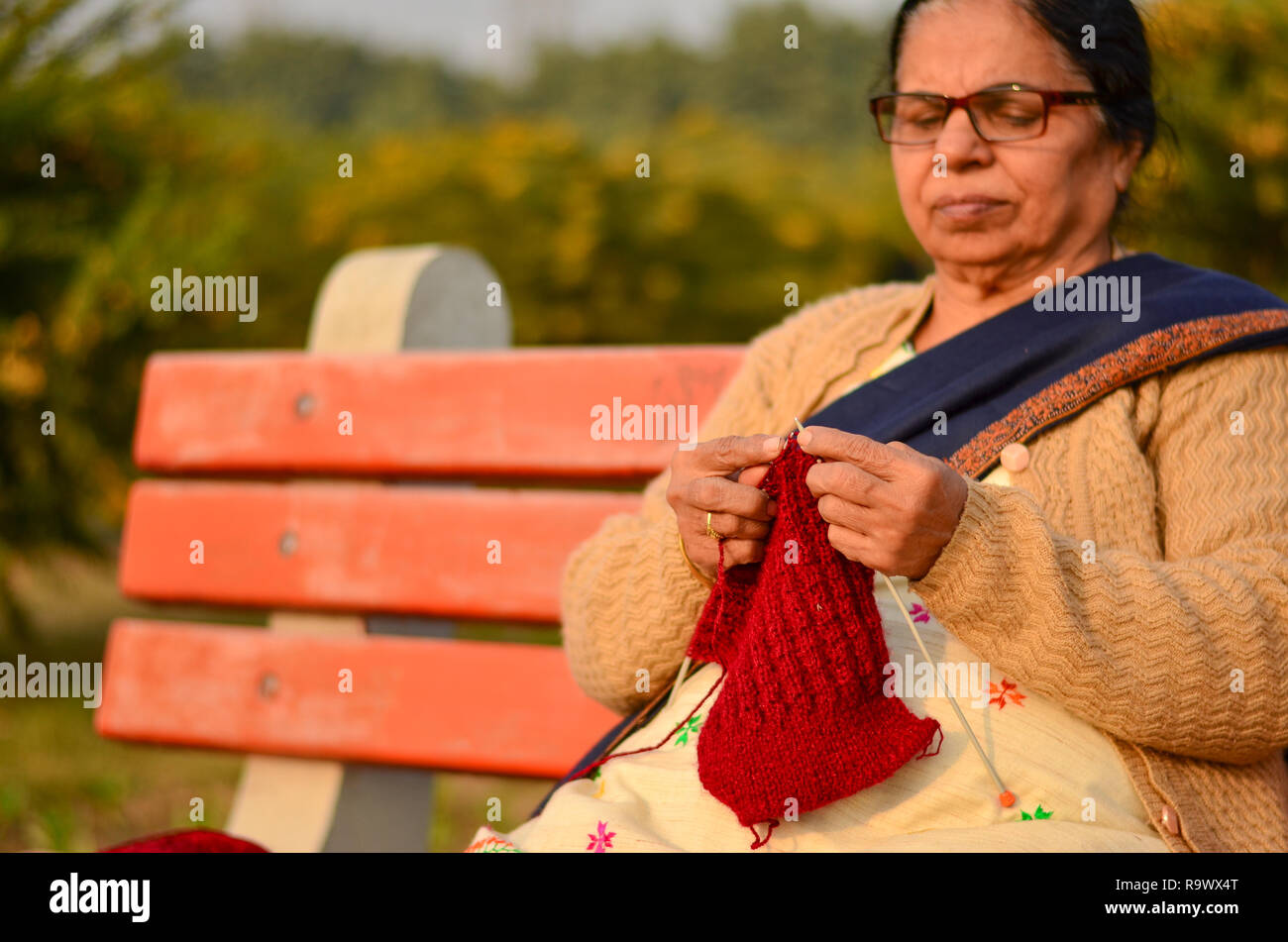 Les femmes indiennes le tricot pull marron en hiver dans un parc à New Delhi, Inde Banque D'Images