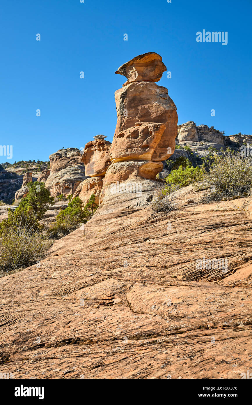 Rock formations dans le Colorado National Monument Park, Colorado, USA. Banque D'Images