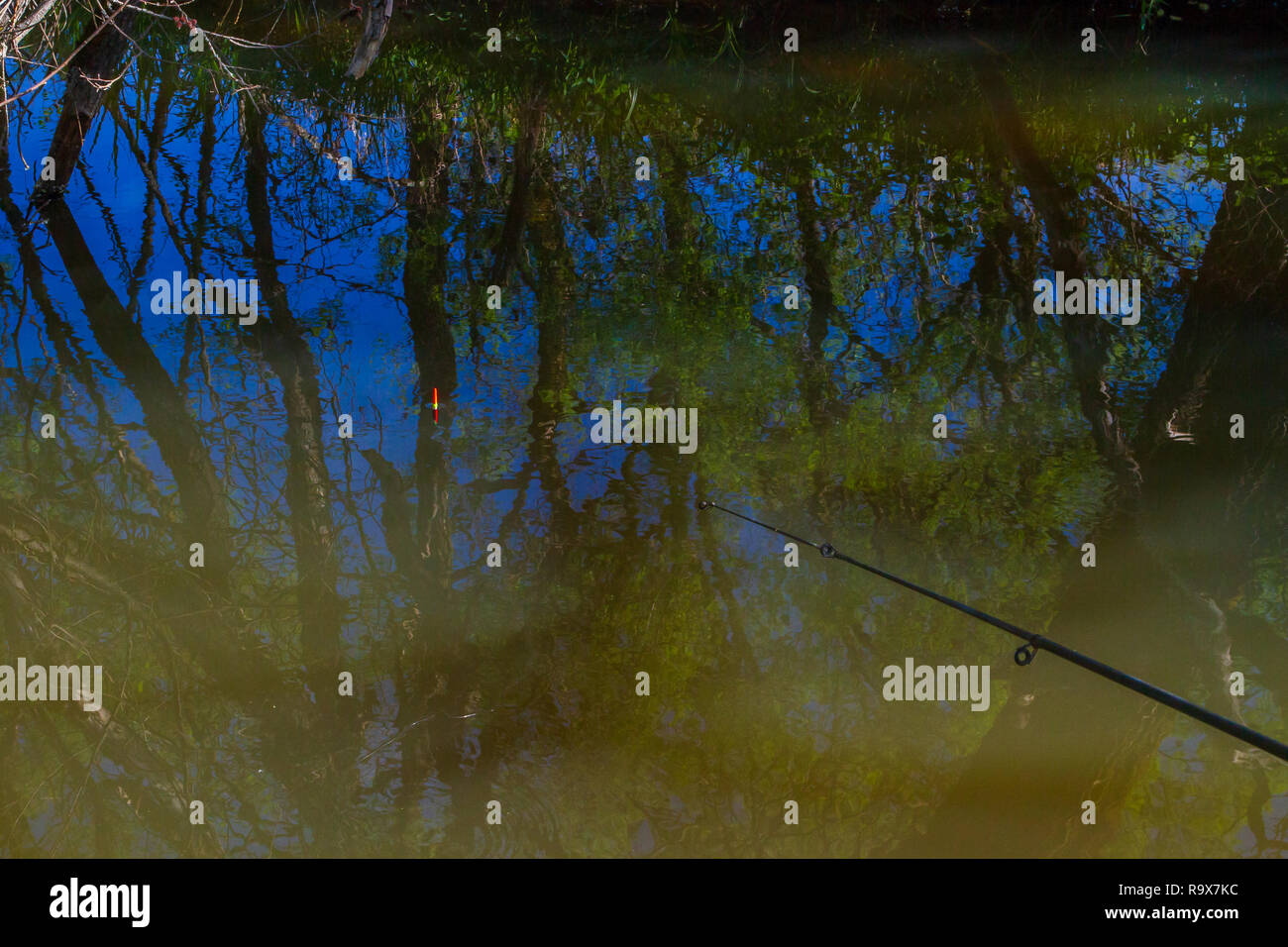 Canne à pêche avec un flotteur durant la saison de pêche dans la rivière de la forêt Banque D'Images