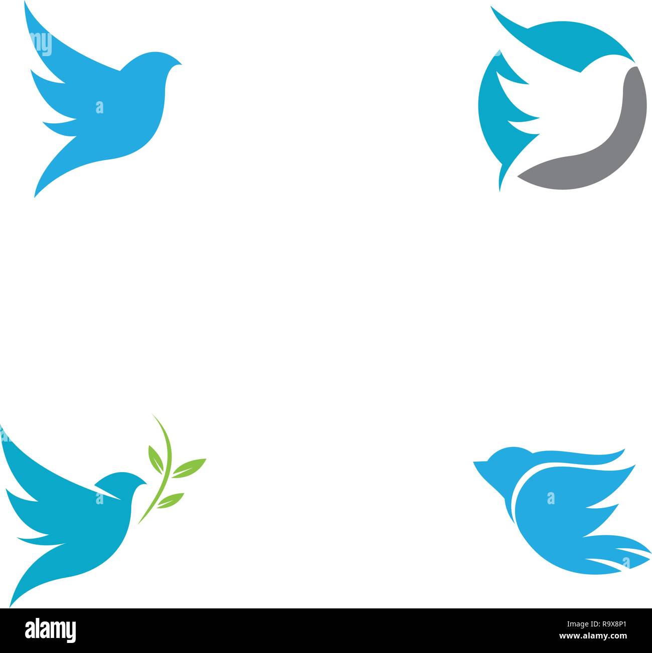 Aile d'oiseau Colombe Modèle Logo vector illustration Illustration de Vecteur
