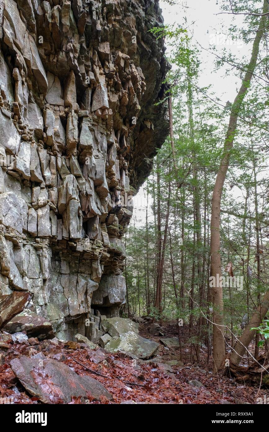 Un bluff dentelées ou falaise près de Foster Falls, South Cumberland State Park sur le Plateau Cumberland. Banque D'Images