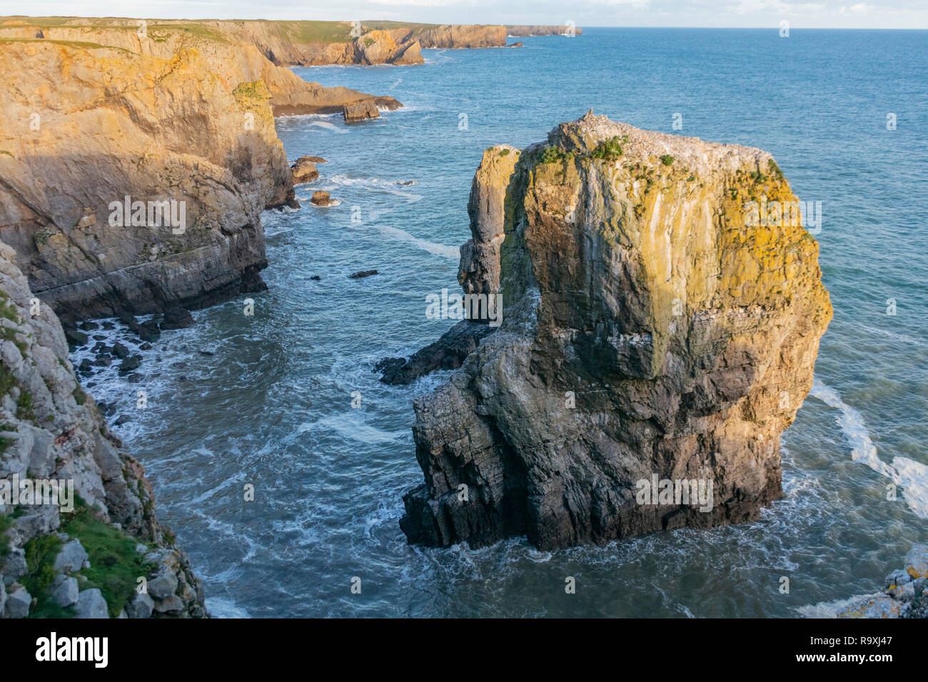 Les roches de la pile, Castlemartin, Pembrokeshire, Pays de Galles Banque D'Images