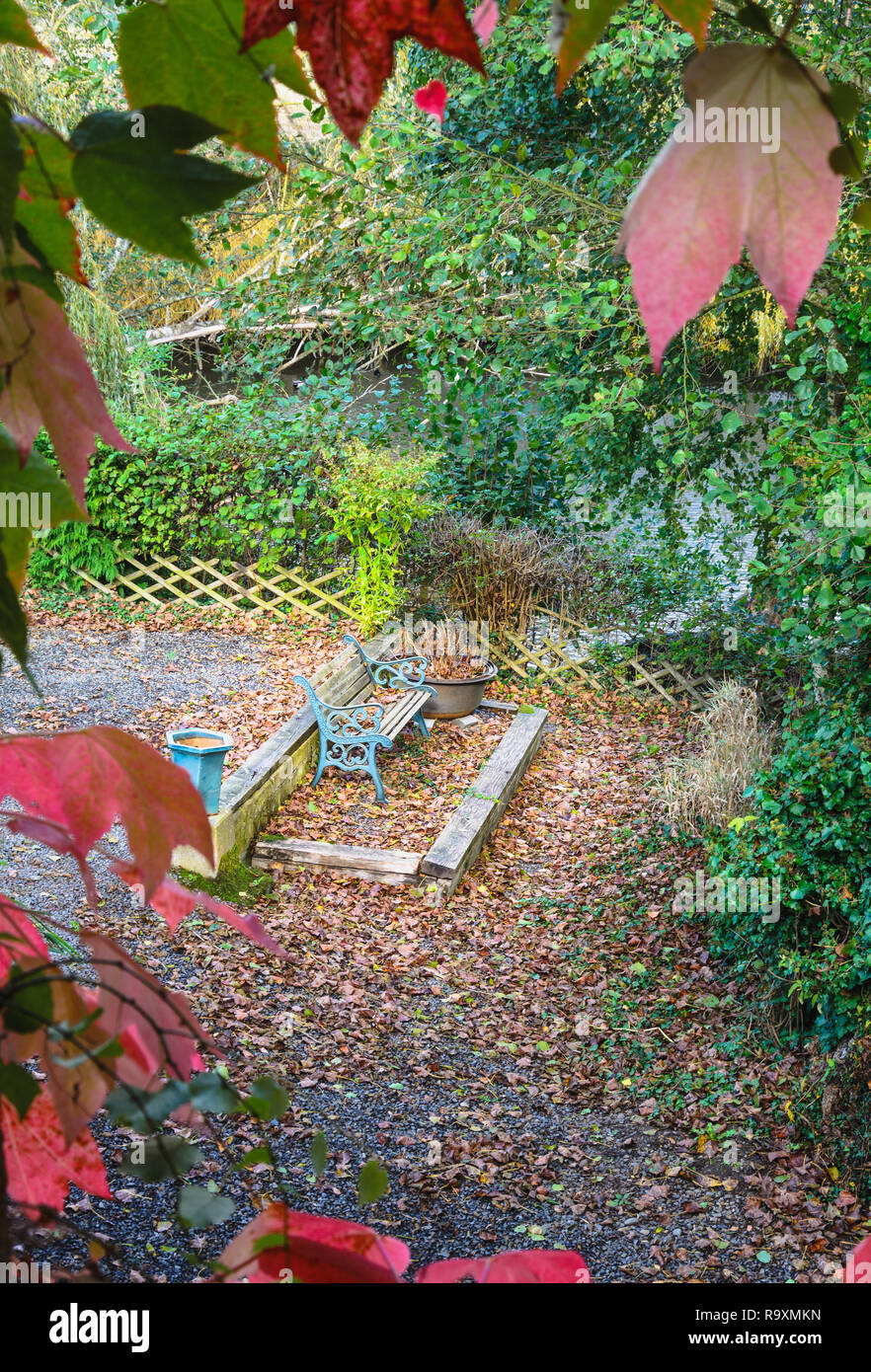 Banc solitaire dans le jardin coloré d'automne, avec des arbres et buissons de nombreuses feuilles tombées Banque D'Images