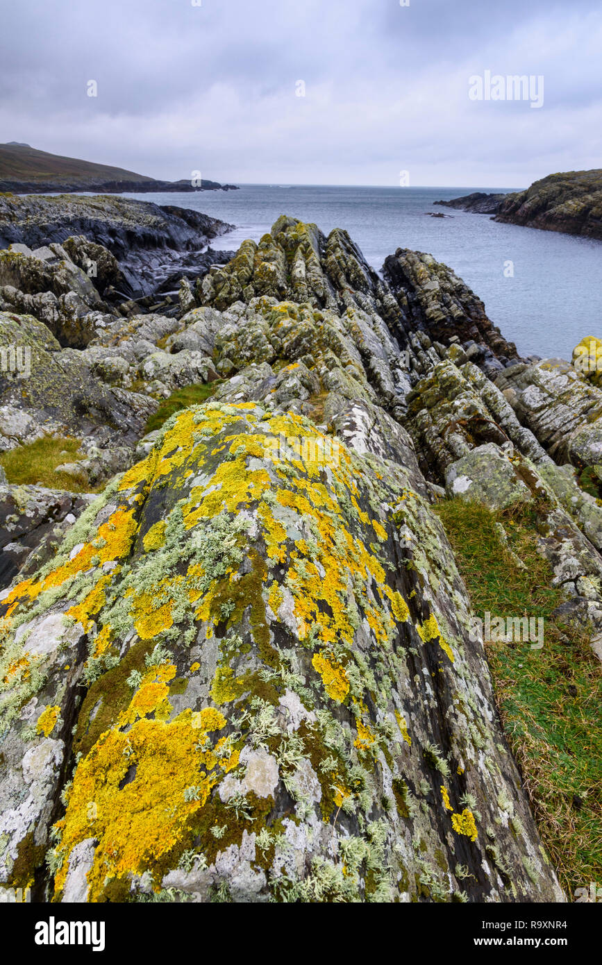 Des roches couvertes de lichen, Kilchiaran Bay, Rhinns d'Islay, Hébrides intérieures, ARGYLL & BUTE, Ecosse Banque D'Images