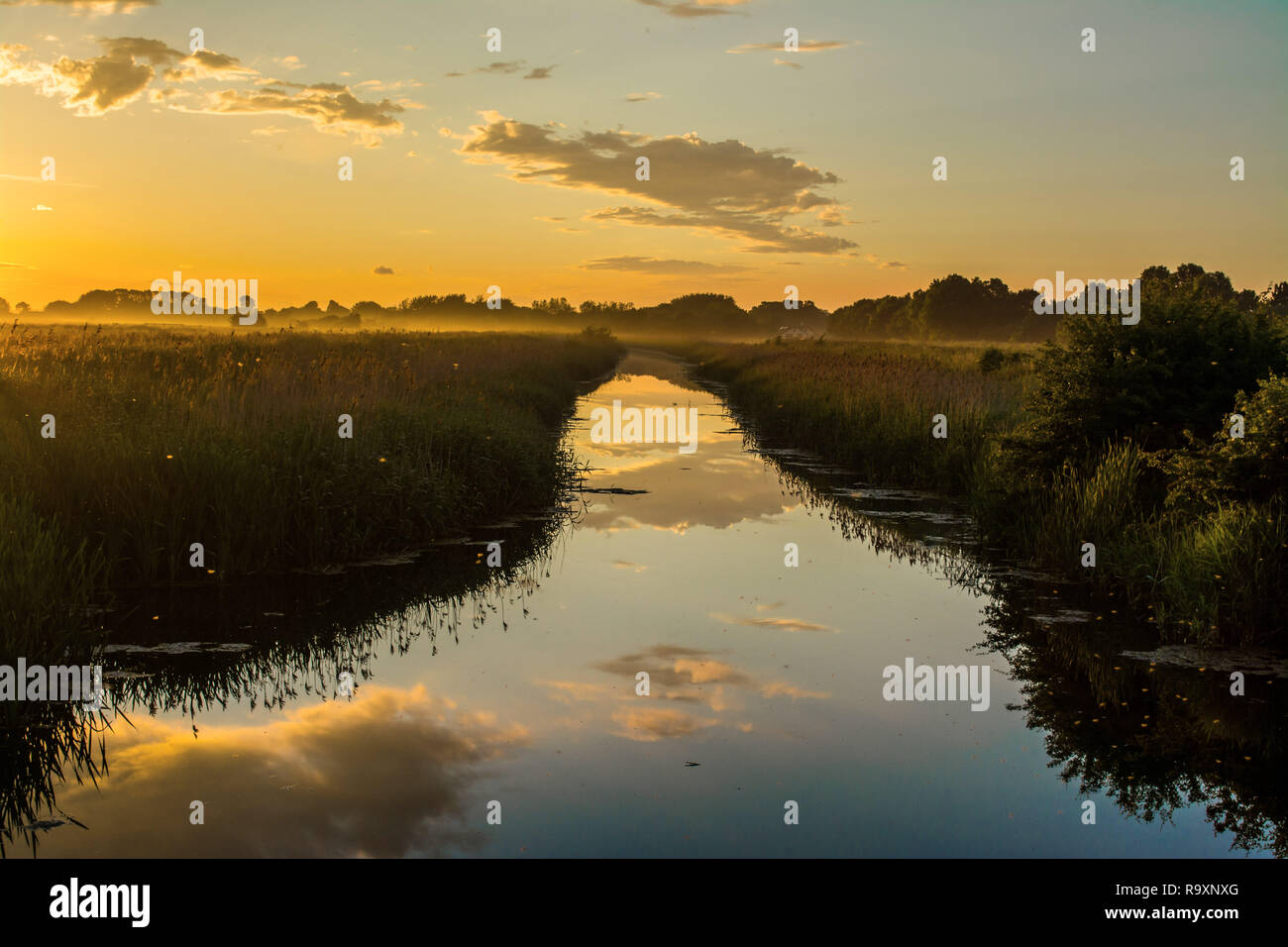 Rivière coucher du soleil d'été Banque D'Images