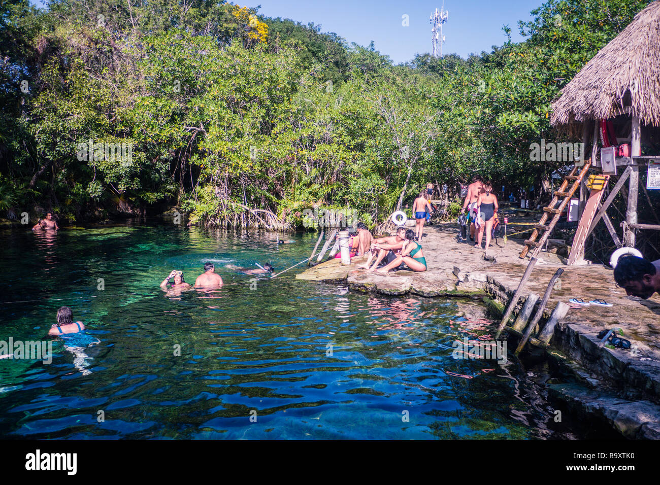 Cénote, Tulum Mexico Banque D'Images Cénote, Tulum Mexico Banque D'Images