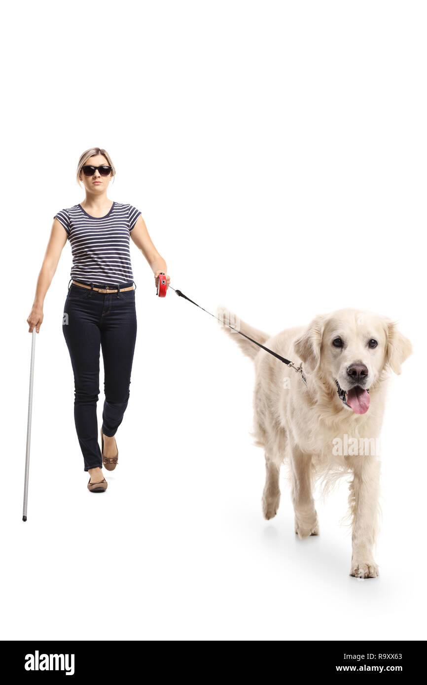 Portrait d'une femme aveugle marche avec l'aide d'un chien isolé sur fond blanc Banque D'Images
