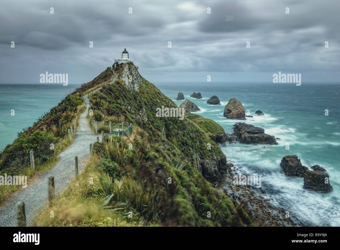 Nugget Point, Otago, île du Sud, Nouvelle-Zélande Banque D'Images