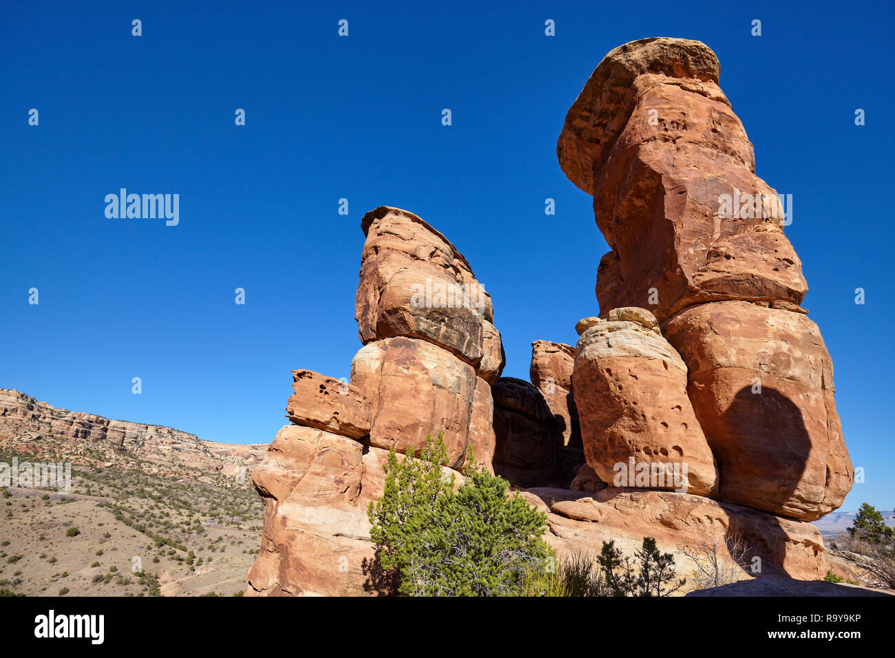 Rock formations dans le Colorado National Monument Park, Colorado, USA. Banque D'Images