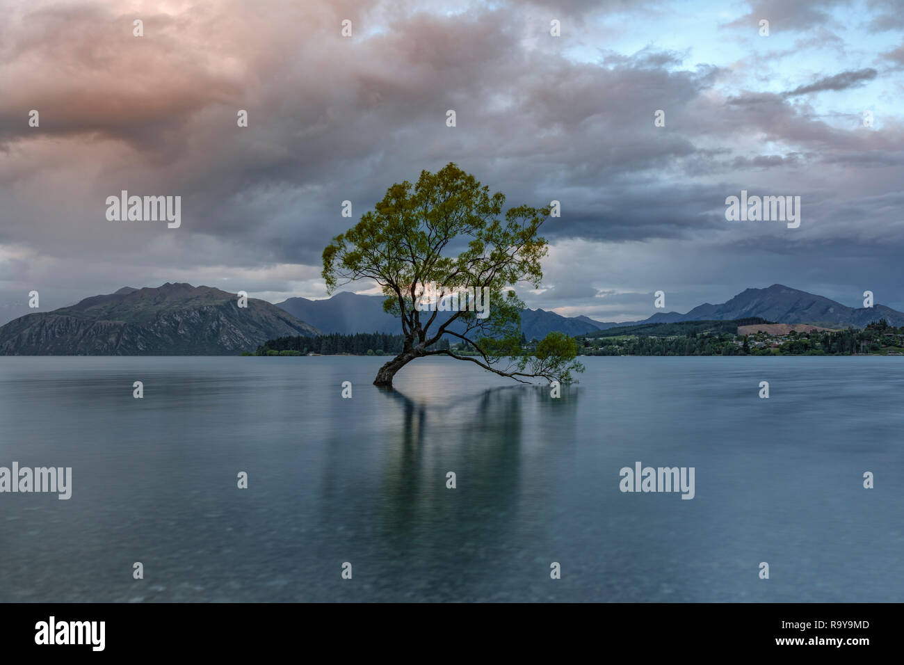 Wanaka, Queenstown, Otago Lakes District, île du Sud, Nouvelle-Zélande Banque D'Images