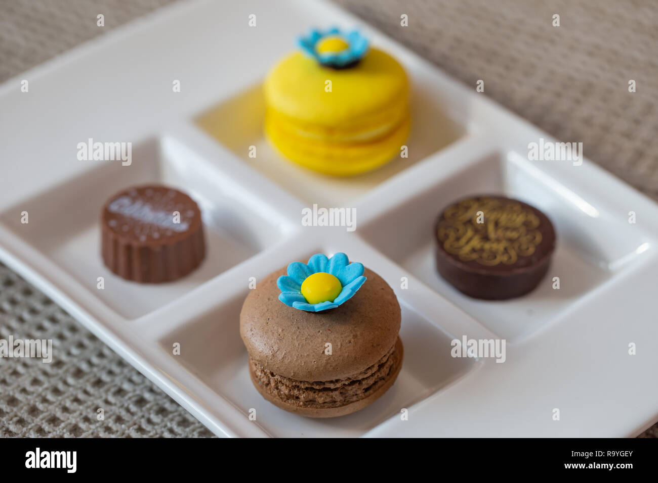 Assortiment de chocolats pralinés et macarons sur un plat blanc Banque D'Images