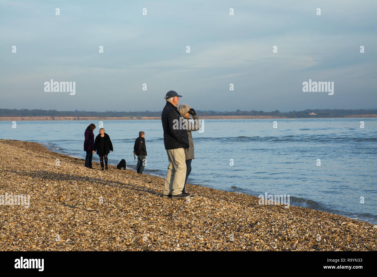 Les personnes bénéficiant d'une balade hivernale sur la plage dans le Hampshire, au Royaume-Uni. Les loisirs, les visiteurs, les promeneurs de chiens, regardant la mer Banque D'Images