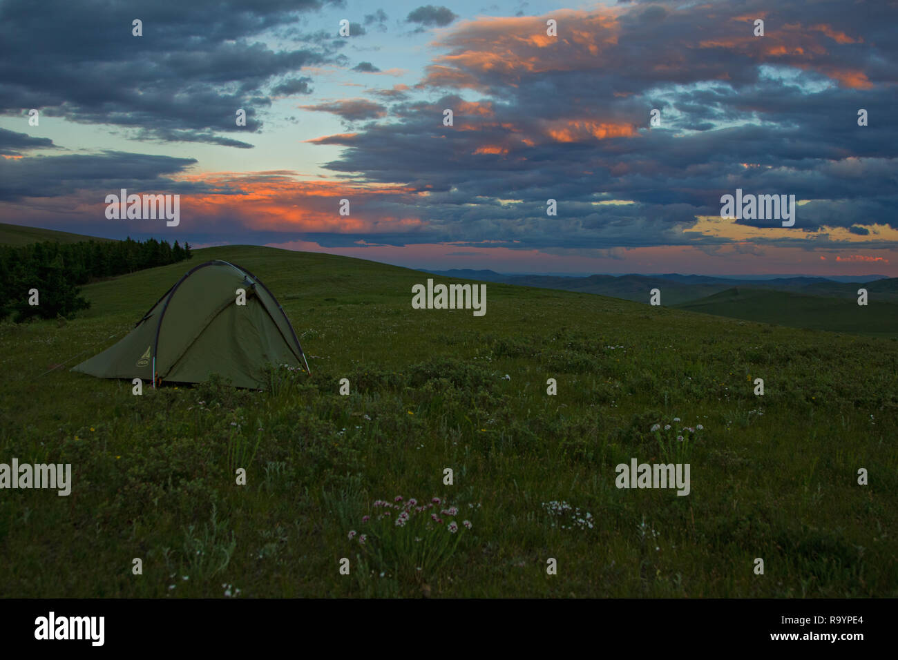 Camping avec tente solitaire en steppe mongole campagne sur la crête de la montagne, Khan Khentii, Mongolie Banque D'Images