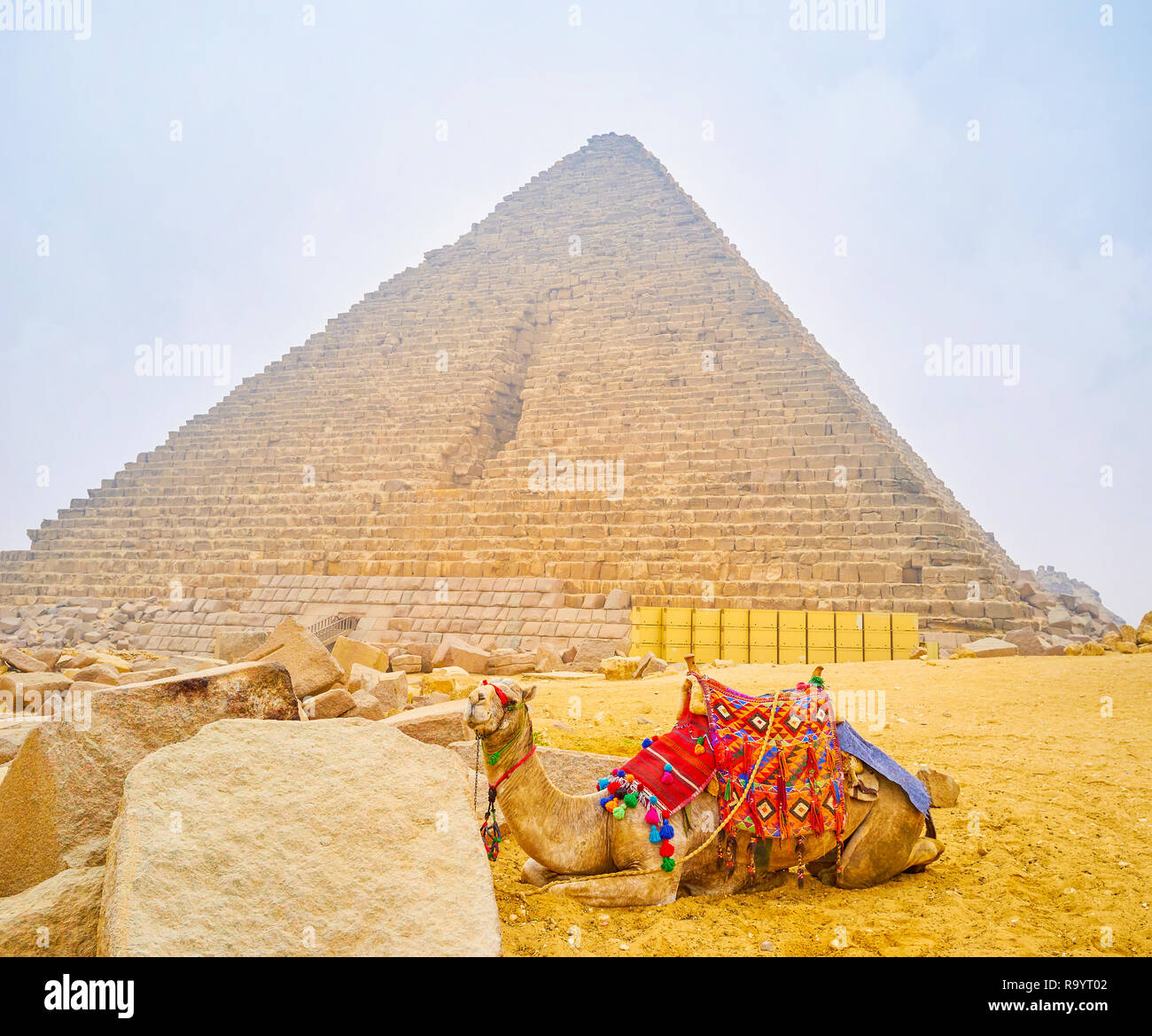 Le chameau harnaché avec selle en style bédouin traditionnel se trouve au côté de vestiges de pierre la pyramide de Gizeh, Egypte Banque D'Images
