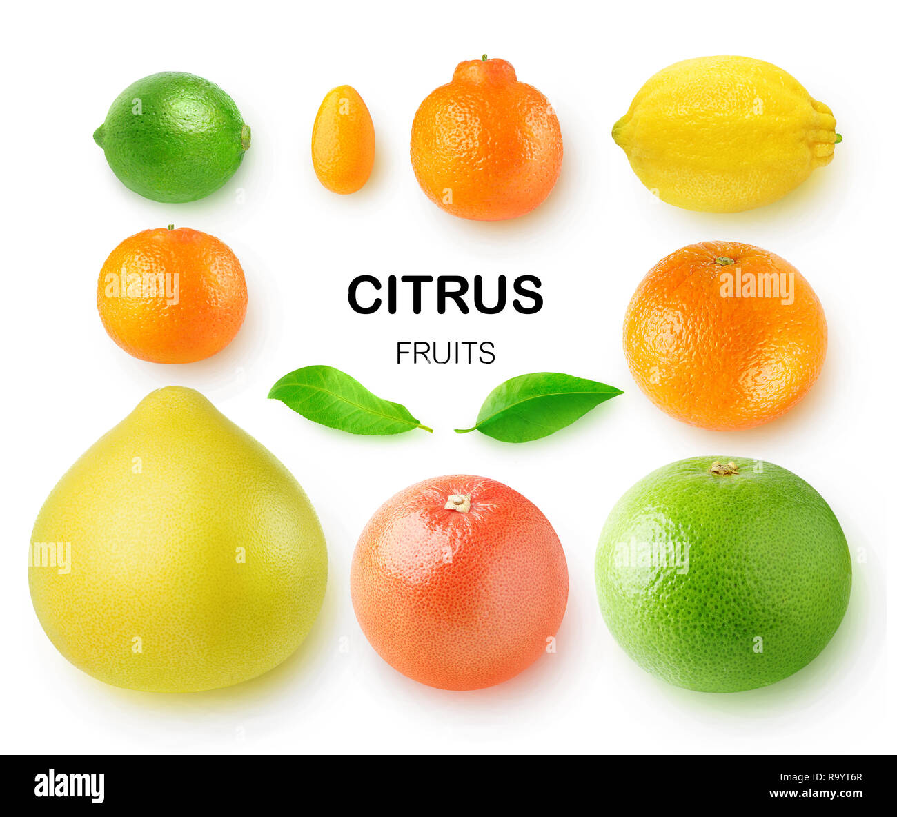 Agrumes isolés. Pomélo, pamplemousse, orange, citron, clémentine, kumquat, citron vert et mandarine isolé sur fond blanc avec clipping path Banque D'Images