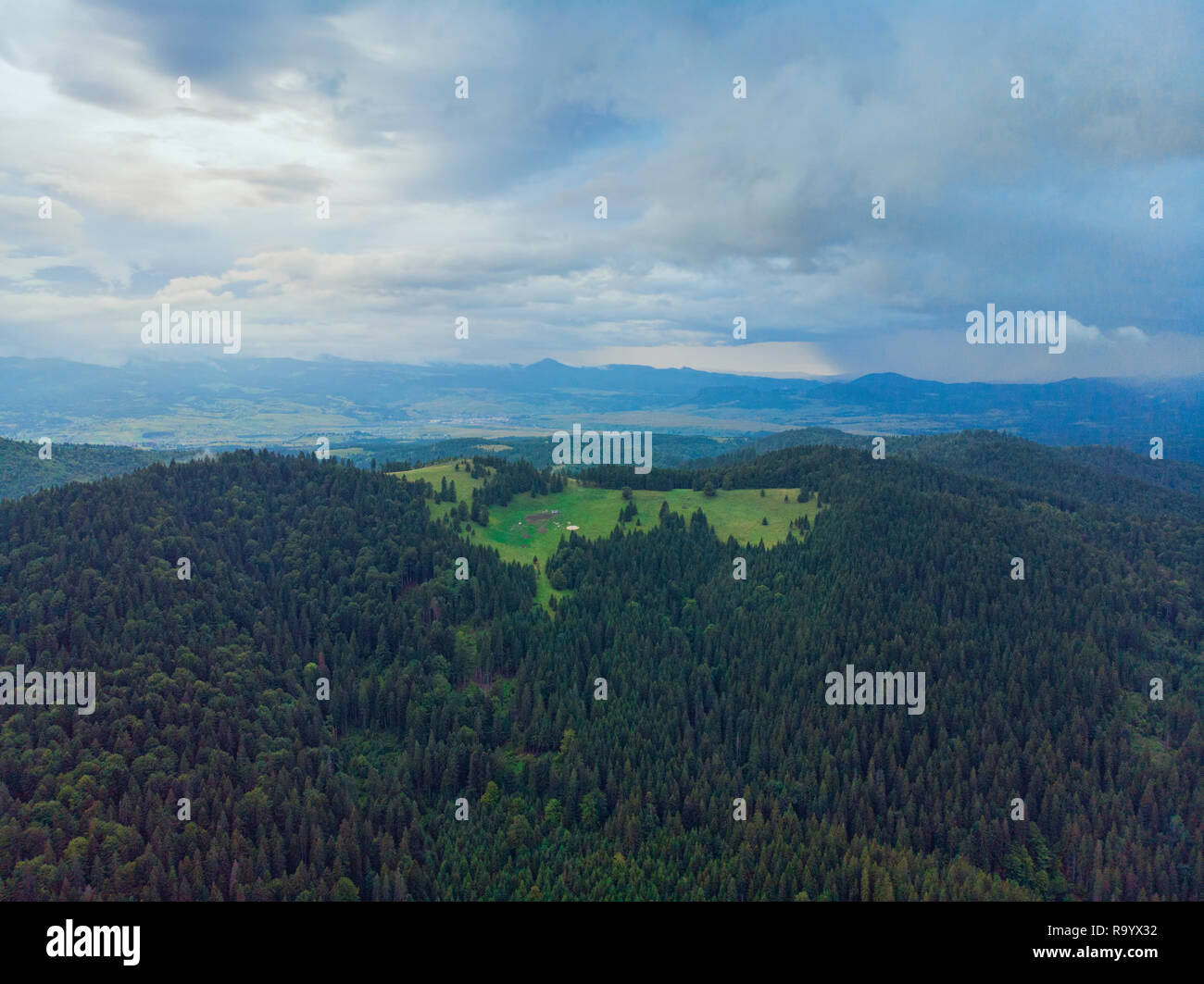 Vue aérienne de la forêt de sapin vert. Drone vue dans un col de montagne de vallée en Roumanie Banque D'Images