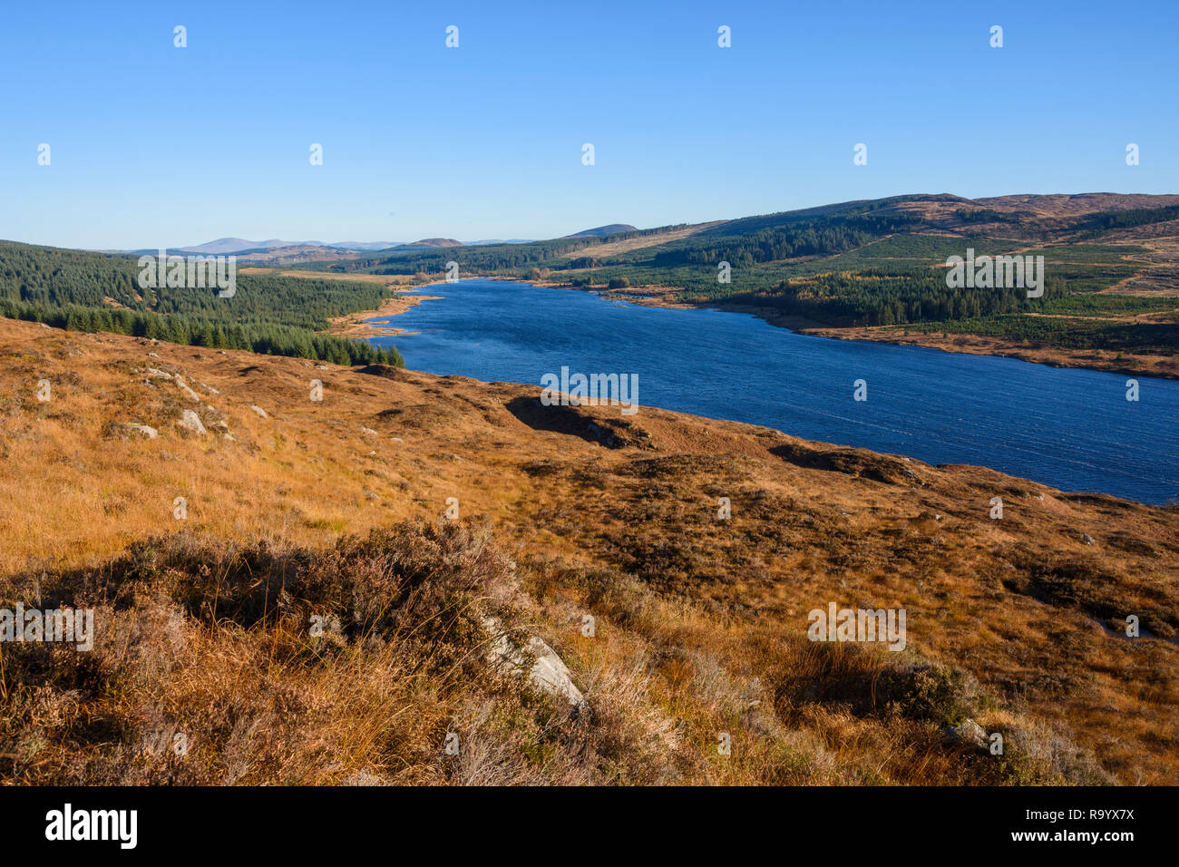 Grannoch Loch, Galloway Forest, Dumfries et Galloway, Écosse Banque D'Images