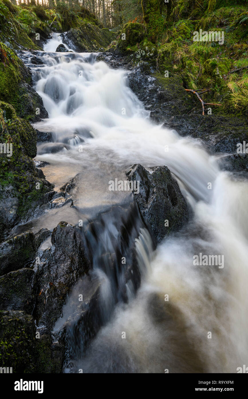 Kennick Burn cascade, près de Laurieston, Galloway Forest, Dumfries et Galloway, Écosse Banque D'Images