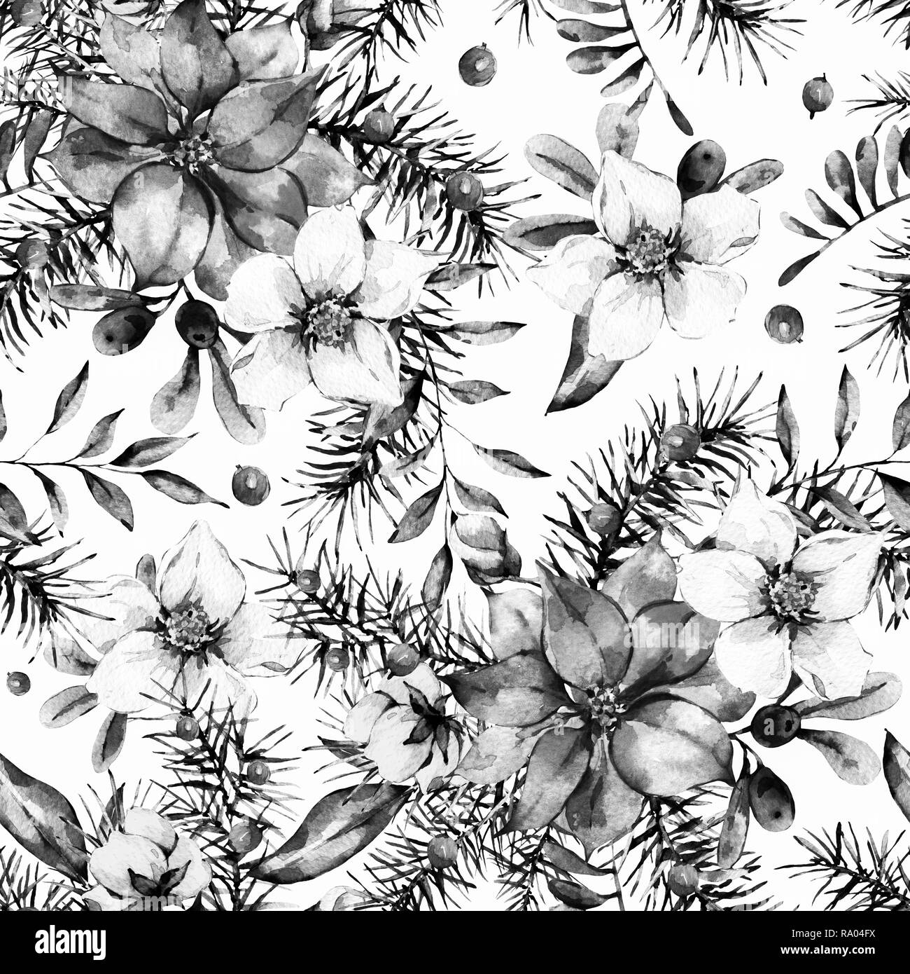 Aquarelle monochrome floral vintage motif transparent, Nouvel an avec décoration poinsettia, branches de pins, de fruits rouges, de fleurs. Mauvais naturel botanique Banque D'Images