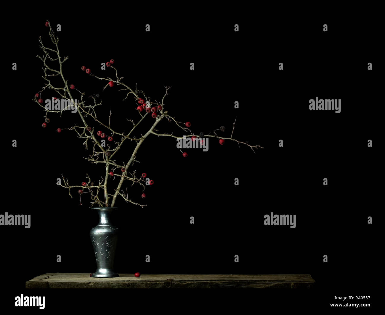 L'hiver les fruits rouges dans un vase, light painting still life. Décoratives. Banque D'Images