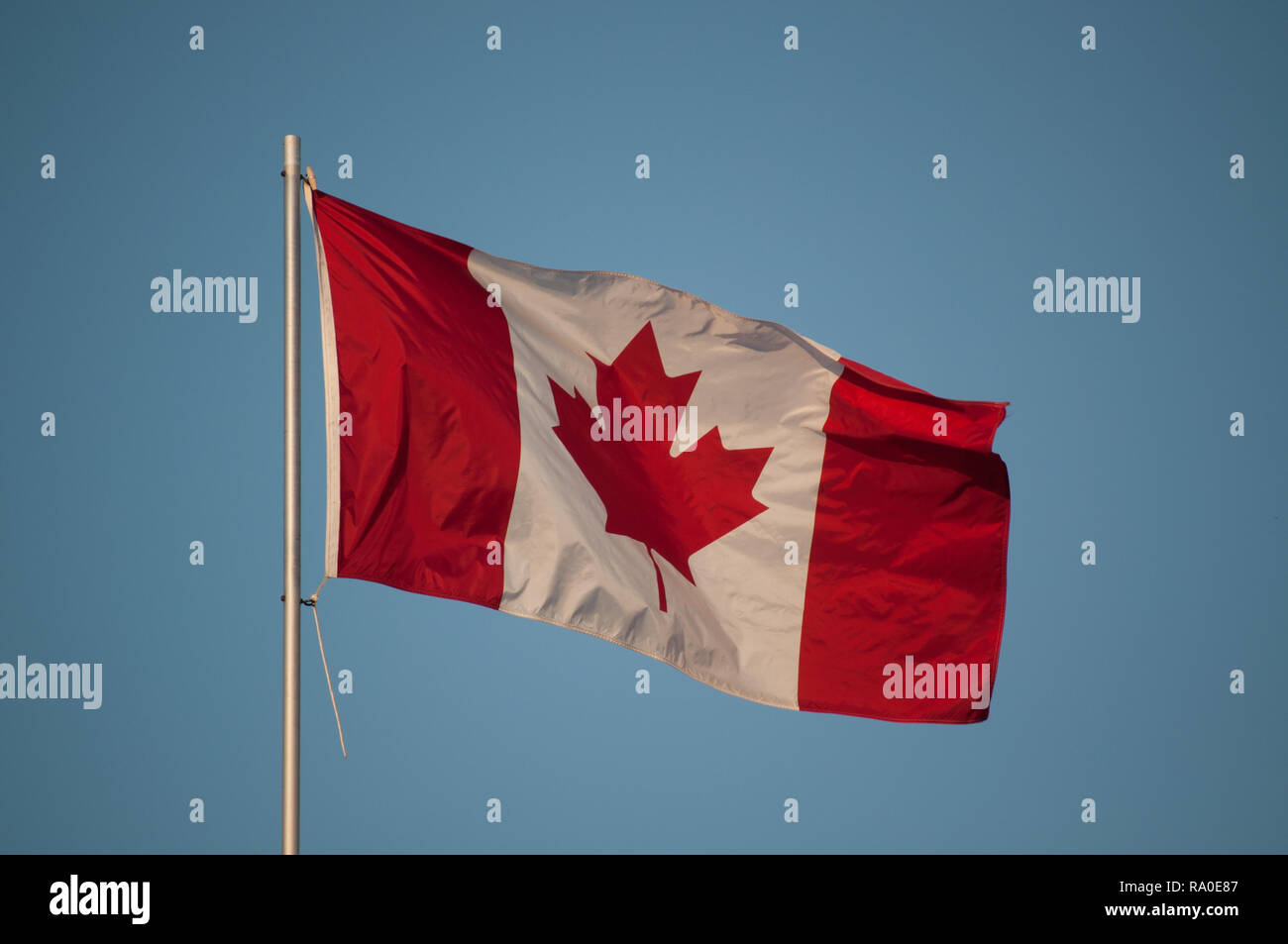 Drapeau canadien sur un mât de forme dans la brise Banque D'Images