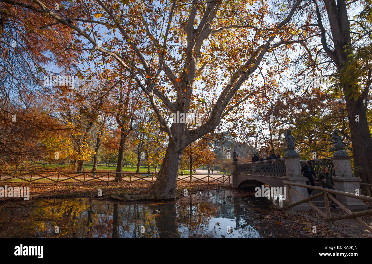 MILAN, ITALIE, le 5 décembre 2018 - L'automne dans le parc Sempione à Milan, Italie Banque D'Images