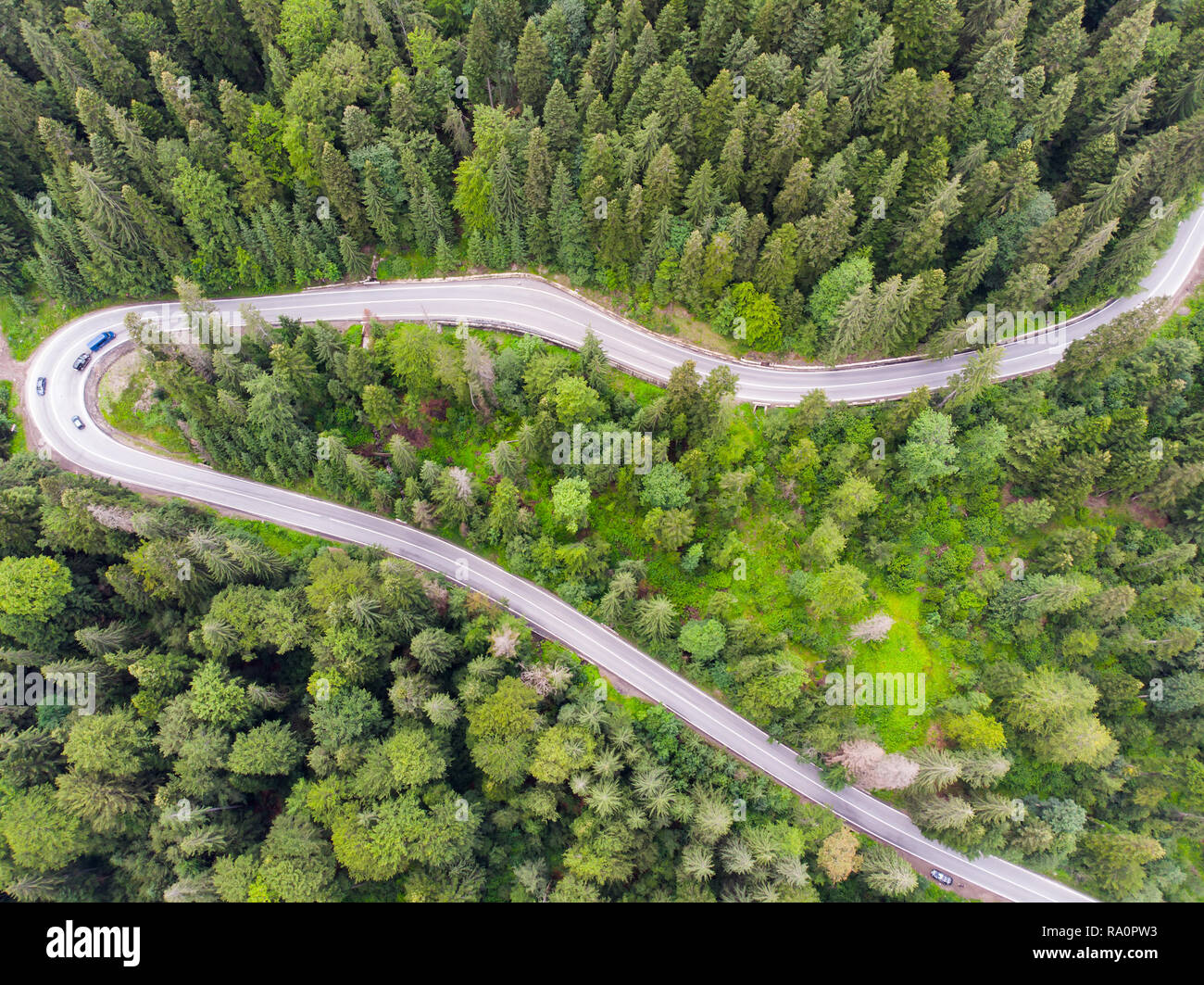 Route de l'autoroute en vert forêt, arbres verts route de drone. Banque D'Images