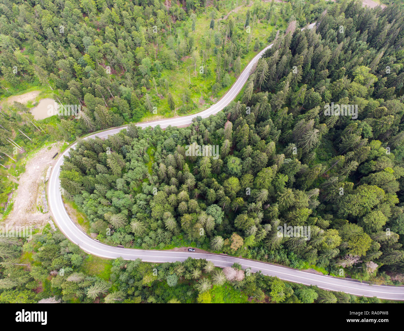 Drone vue d'une route forestière à l'été Banque D'Images