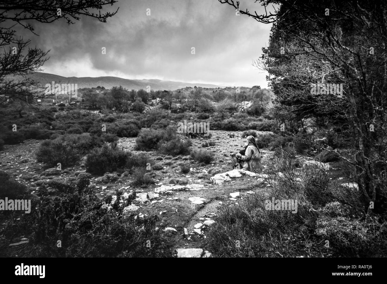 Mère avec son paysage de forêt Crete Grèce Banque D'Images