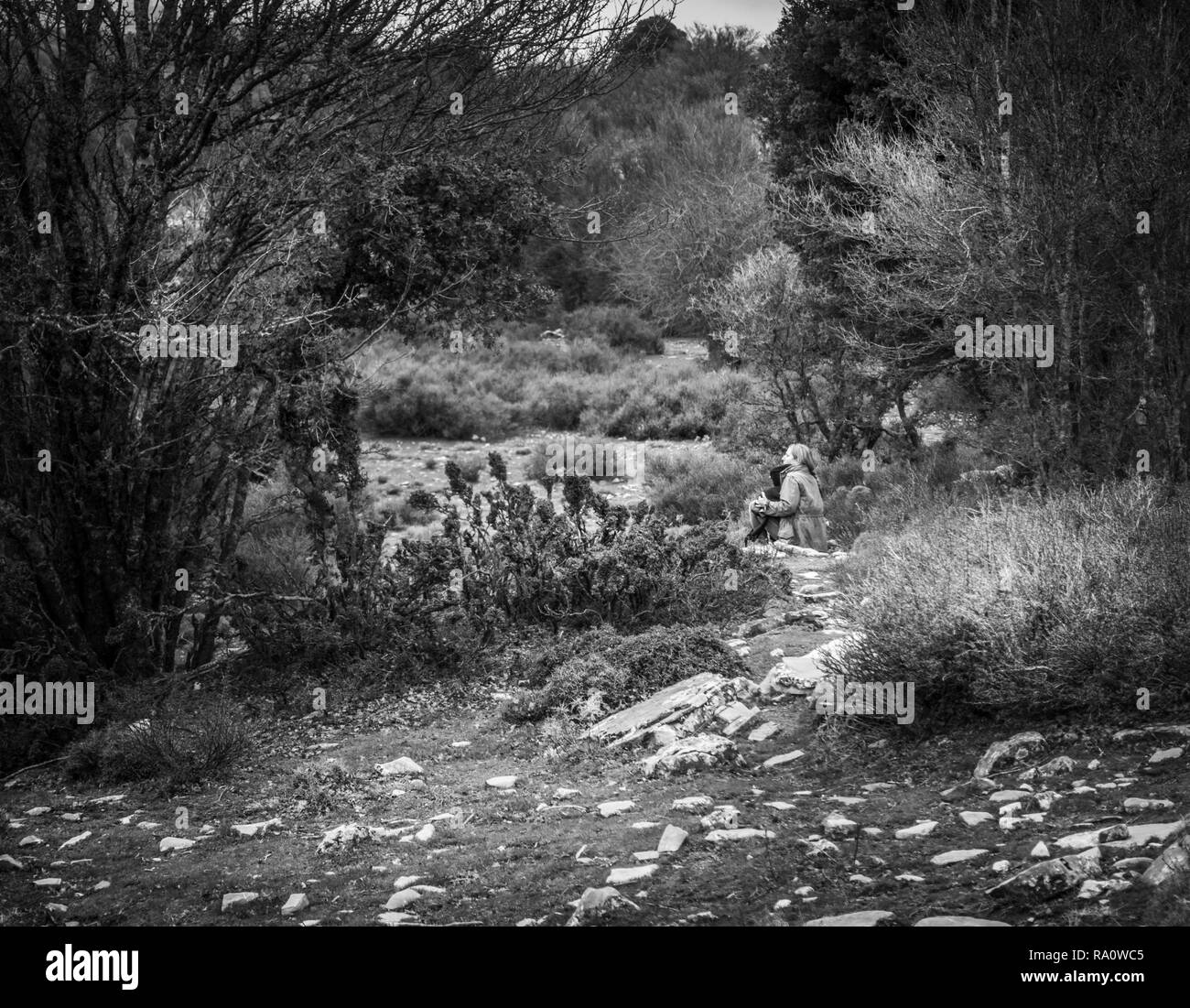 Mère avec son paysage de forêt Crete Grèce Banque D'Images