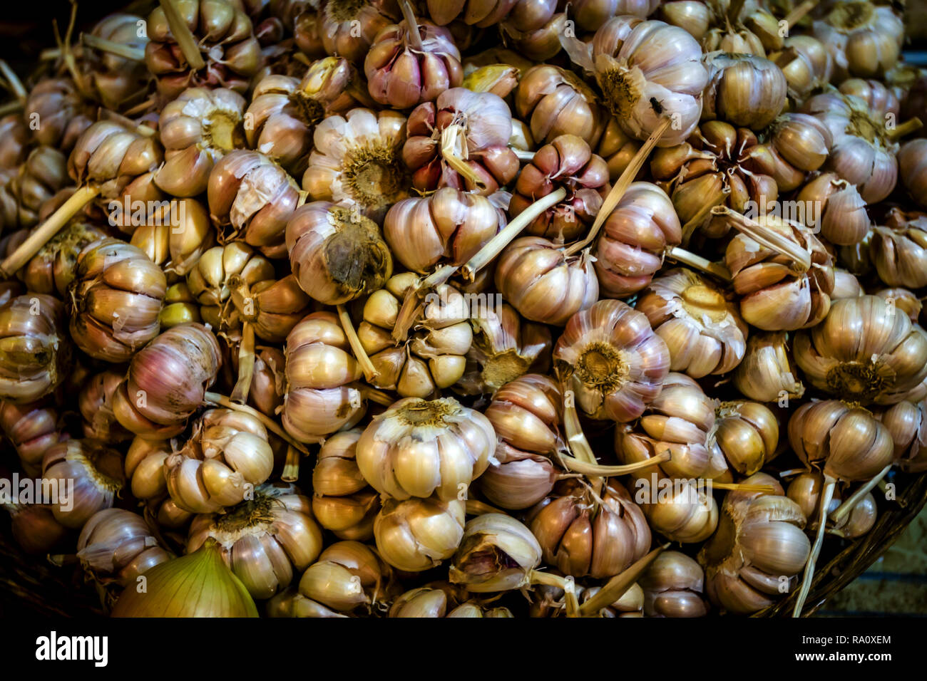 Panier du marché de l'ail Banque D'Images