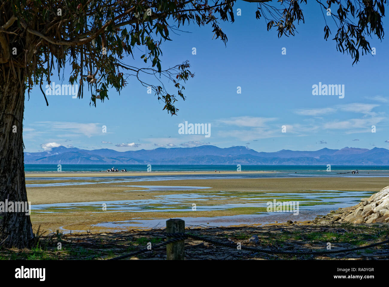 L'estuaire à marée basse et sableuse à Marahau, Abel Tasman National Park, New Zealand Banque D'Images