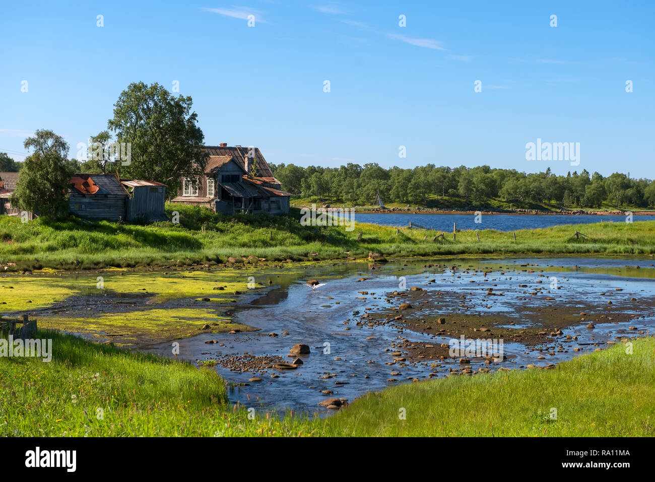 La bande côtière de la Mer Blanche à marée basse, les îles Solovetsky, Moscow, Russie Banque D'Images