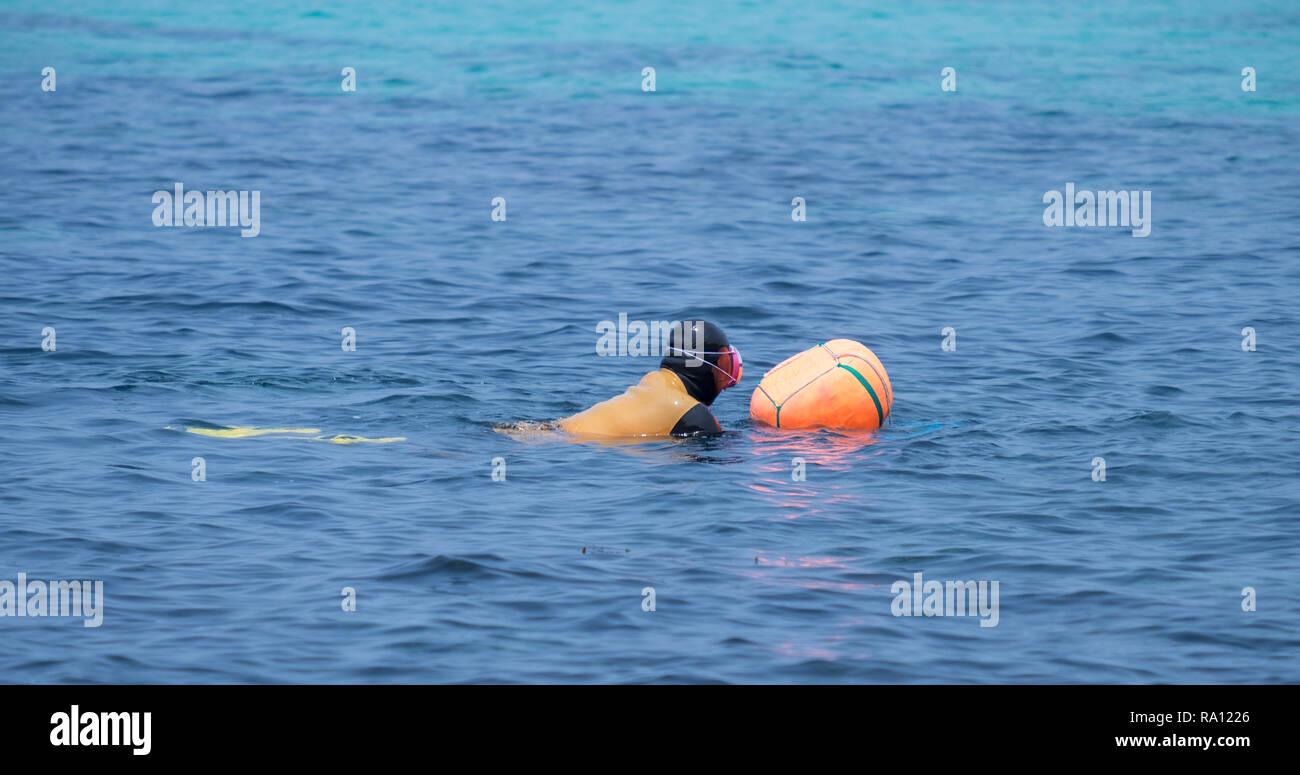 Plongée sous-marine dame de Jeju en action. Une femme à la place, avant de retourner de nouveau dans Banque D'Images