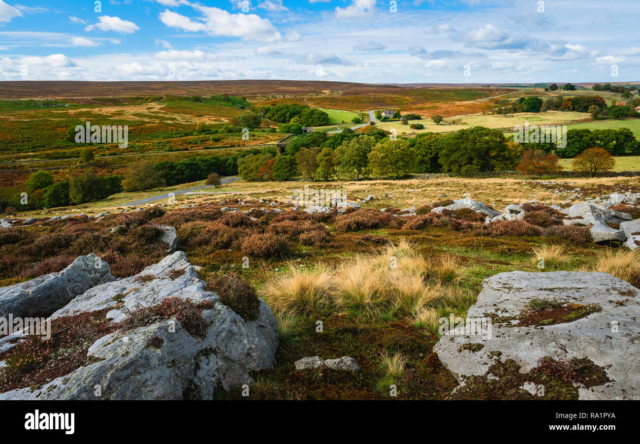 Paysage vallonné de la North York Moors avec Heather, rochers, et de terres agricoles par un beau jour en automne, Goathland, Yorkshire, UK. Banque D'Images