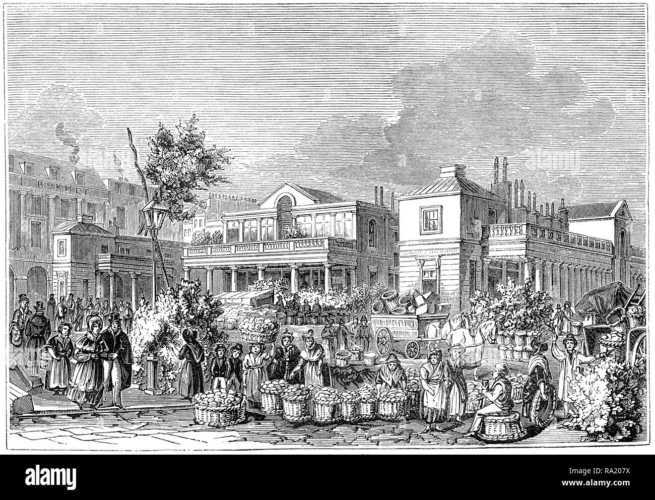 1845 gravure de marché couvert de Covent Garden à Londres. Banque D'Images