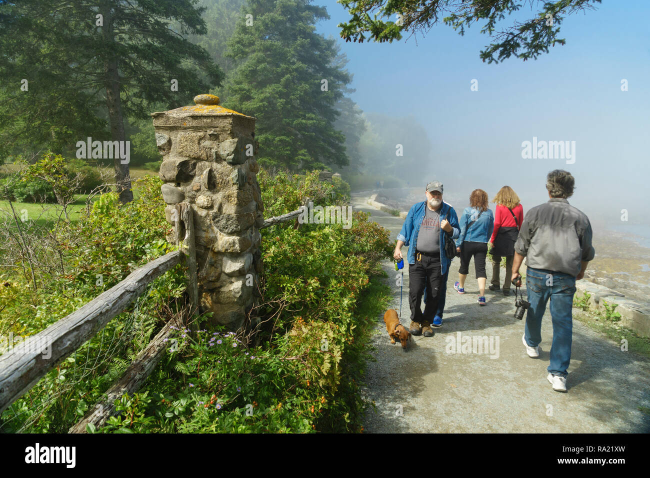 Les visiteurs de marcher sur le chemin de la rive sur un matin brumeux, Bar Harbor, Maine, USA. Banque D'Images