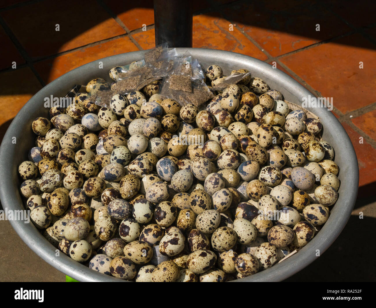 Les oeufs de cailles à vendre à Skuon Ville Asie Cambodge marché araignée connue internationalement pour vendre localement capturées araignées frites Banque D'Images